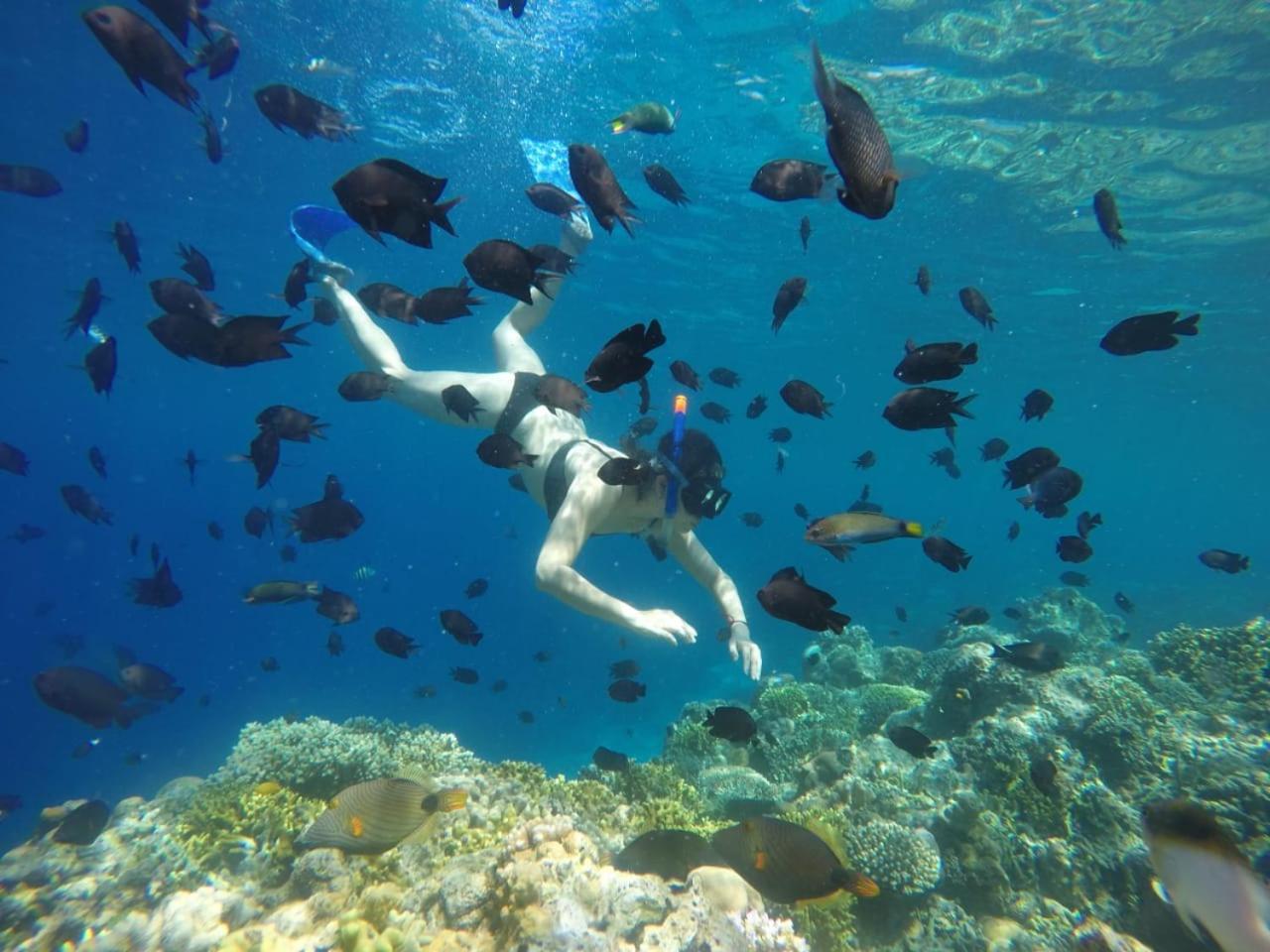 Lihaga Island & Club